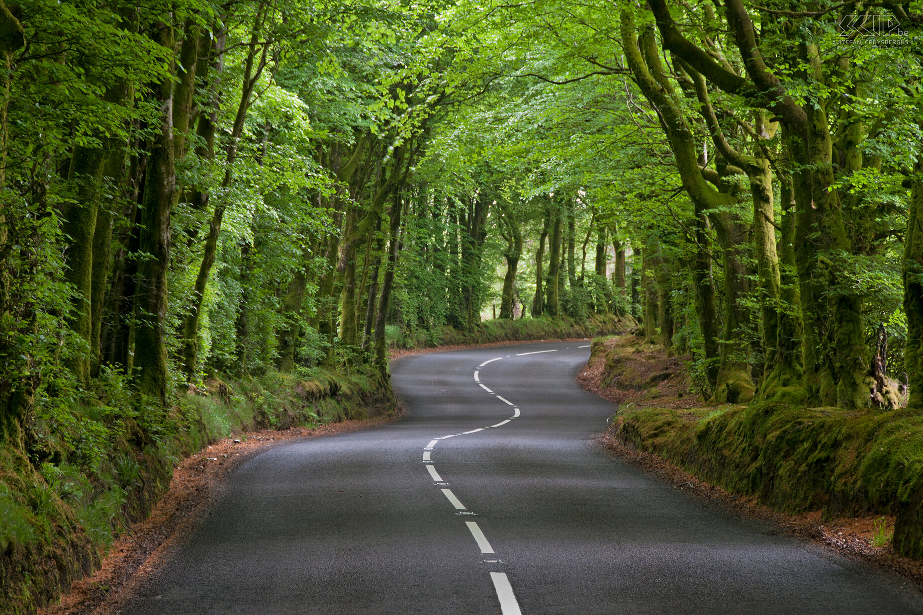 Exmoor - a long and winding road A long and winding road in the national park of Exmoor. Stefan Cruysberghs